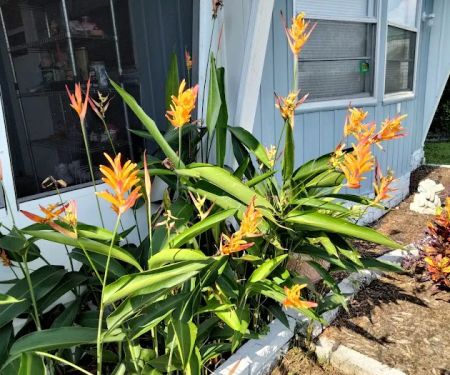 Cardinal Court Mobile Home Park