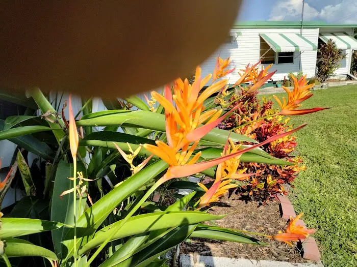 Cardinal Court Mobile Home Park Picture 6