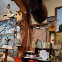 Delaware County Conservation ico