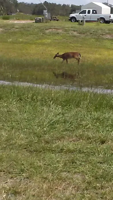 Lake Kissimmee Mobile Home Park Picture 5