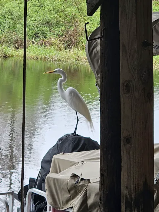 Kissimmee River Park & Marina Picture 1