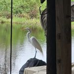 Kissimmee River Park & Marina