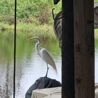 Kissimmee River Park & Marina ico