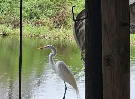 Kissimmee River Park & Marina