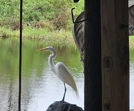 Kissimmee River Park & Marina