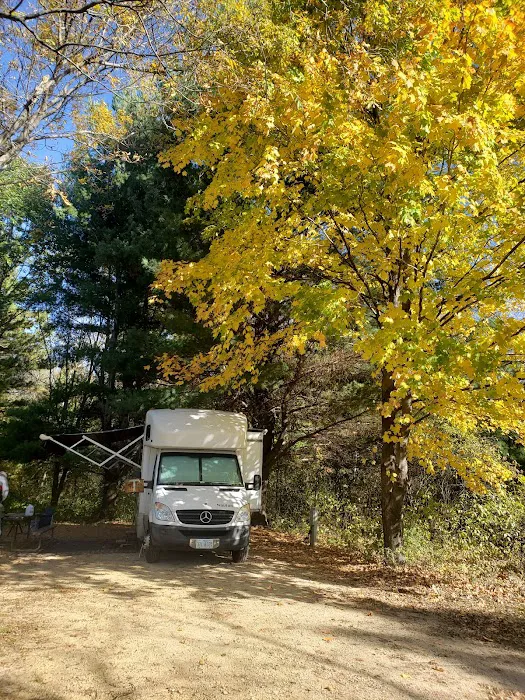 Homestead Campground Picture 7