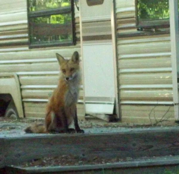 Wagon Wheel Campground Wisconsin Picture 8