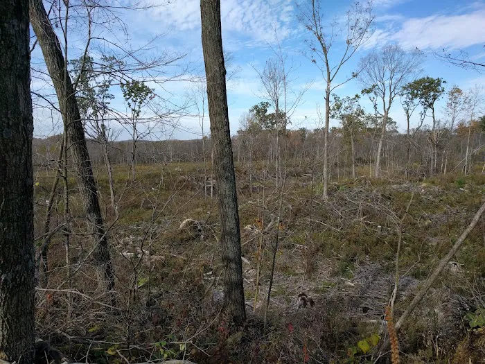 Greenbush Group Campground (KMSF-North Unit) Picture 10