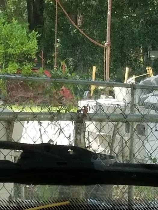 Village At Plant City Picture 3