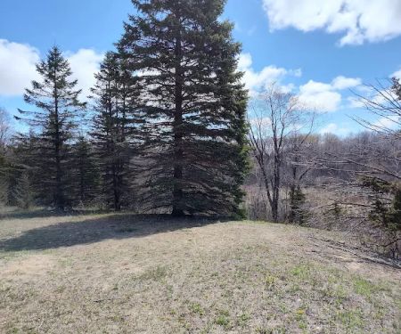 Ice Age National Scenic Trail - Dispersed Camping Site
