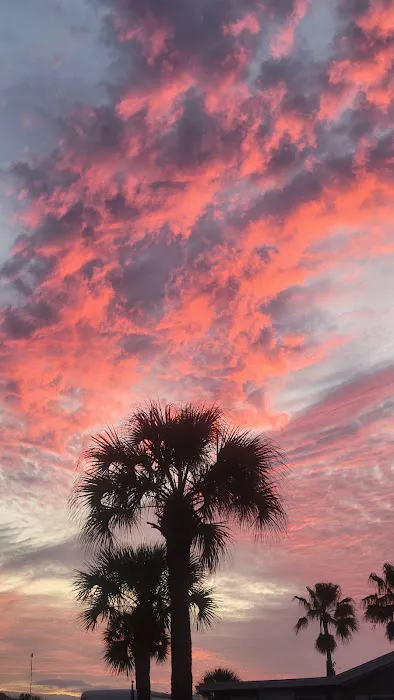 Florida SKP Resort Picture 4