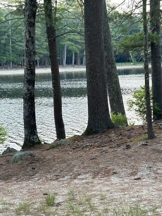 Puckaway Sands Resort Picture 7