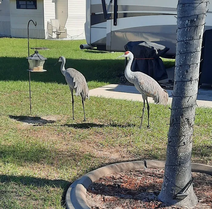 Adelaide Shores RV Resort Picture 7