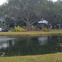 The Meadows At Countrywood ico