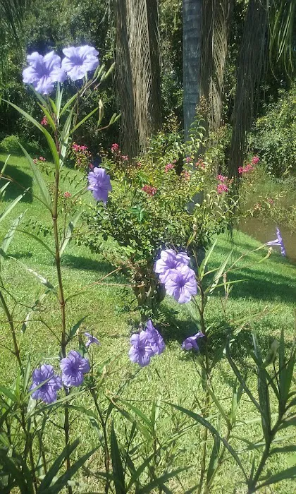 Magnolia Hill Leisure Picture 6