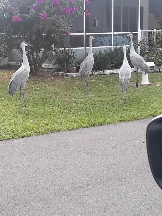 Featherock Picture 4