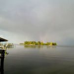 Crab Cove