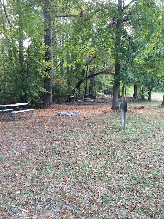 Black Bear Cove RV Campground Picture 3
