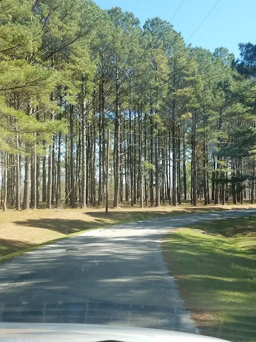 Black Bear Cove RV Campground Picture 10