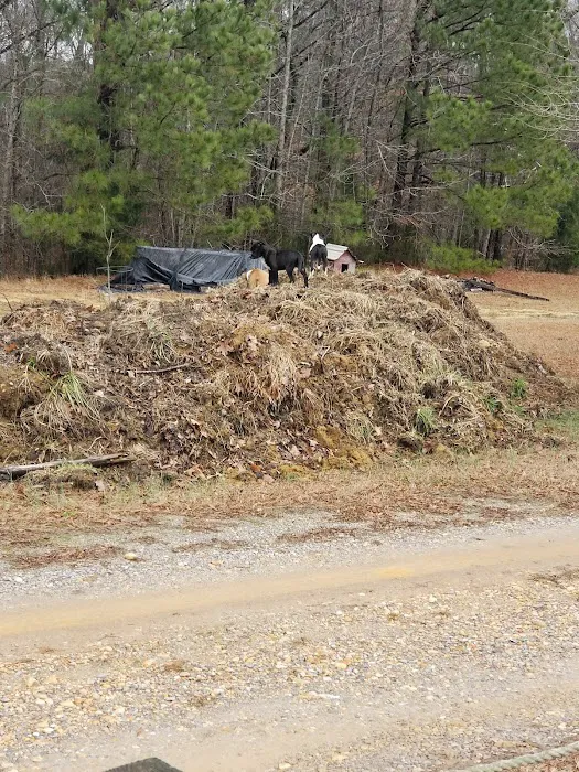 Black Bear Cove RV Campground Picture 4