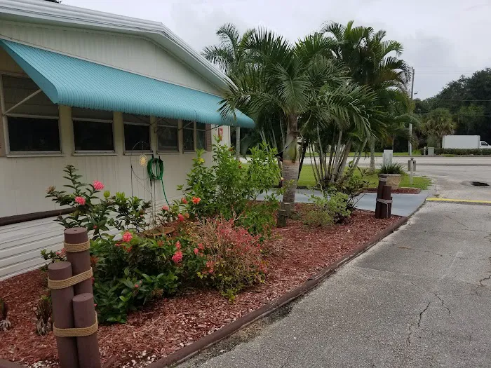 Palm Paradise Park Picture 4