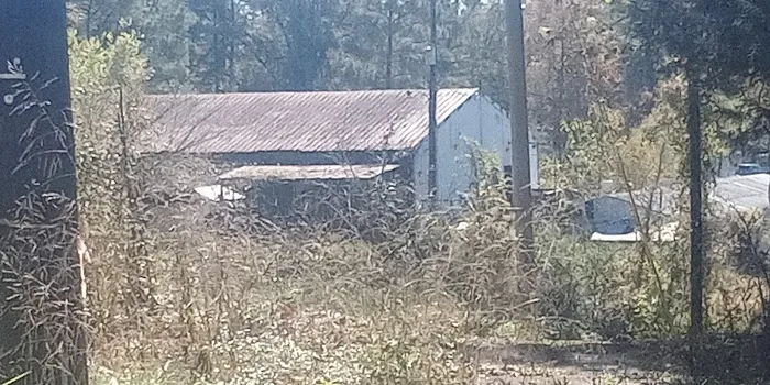 Clevenger's Campground and Boat Launch Picture 6