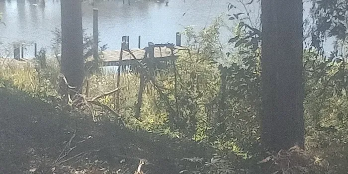 Clevenger's Campground and Boat Launch Picture 2