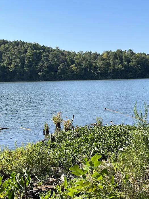 Clevenger's Campground and Boat Launch Picture 7