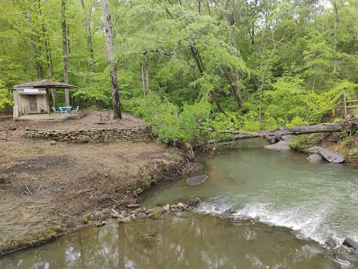 Camping at Blue Creek Picture 7