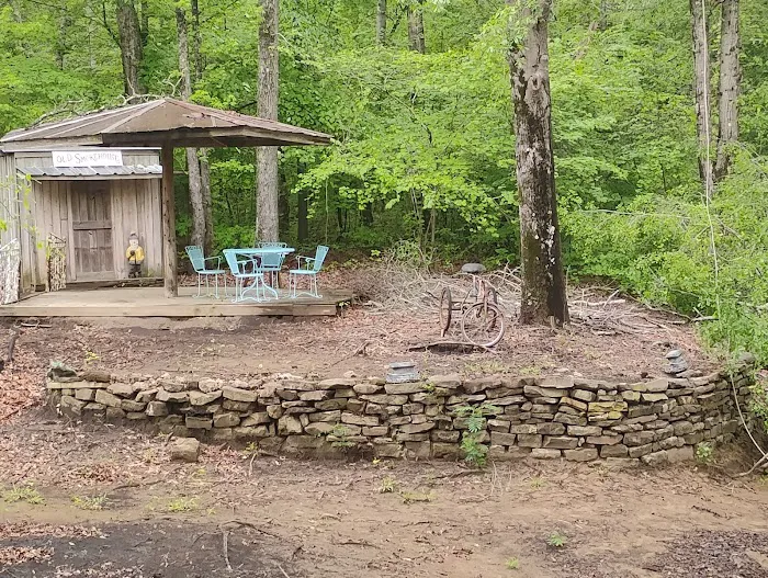 Camping at Blue Creek Picture 6