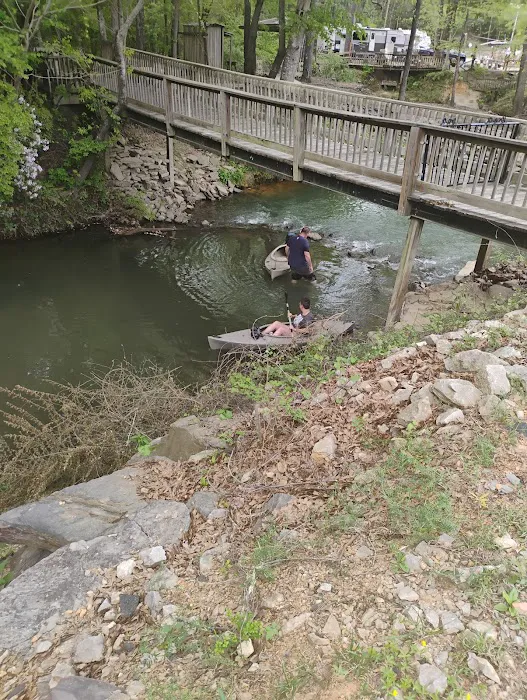 Camping at Blue Creek Picture 3
