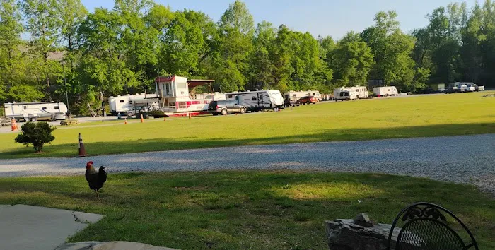 Camping at Blue Creek Picture 2