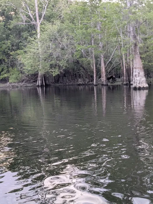 Sandy Point Campground Picture 4