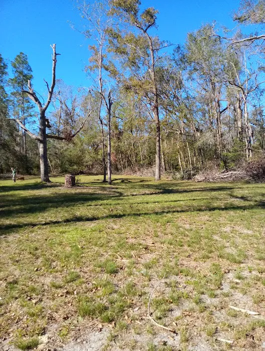 Black Tract Campsite Picture 4