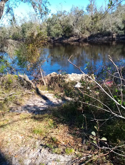 Black Tract Campsite Picture 1