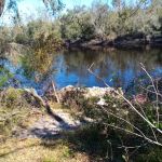 Black Tract Campsite