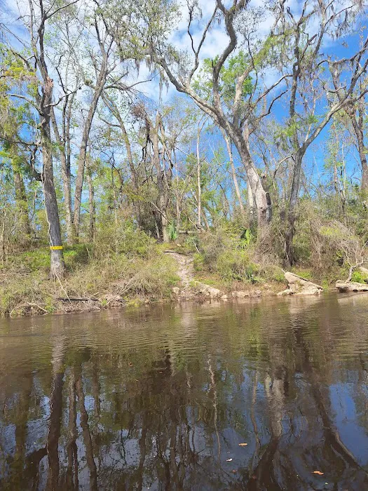 Black Tract Campsite Picture 3