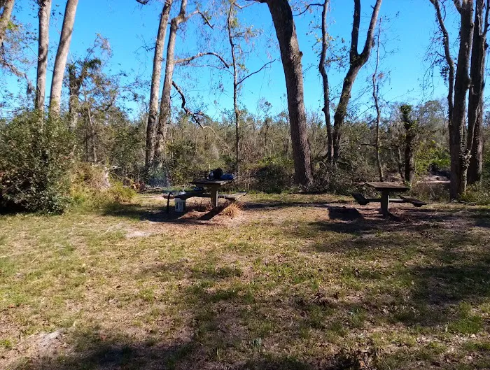 Black Tract Campsite Picture 5