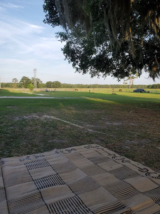 McCulley Farms Picture 7