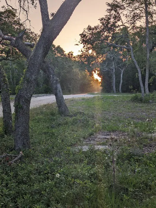 Mill Creek North Campsite Picture 1
