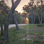 Mill Creek North Campsite