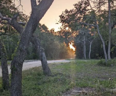Mill Creek North Campsite