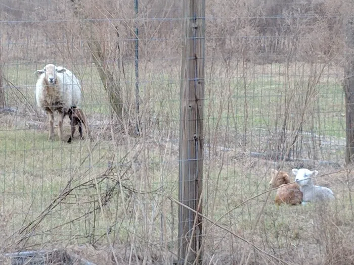 Home Field Advantage Farmstead Picture 9