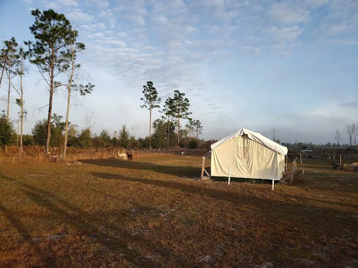 Home Field Advantage Farmstead Picture 8