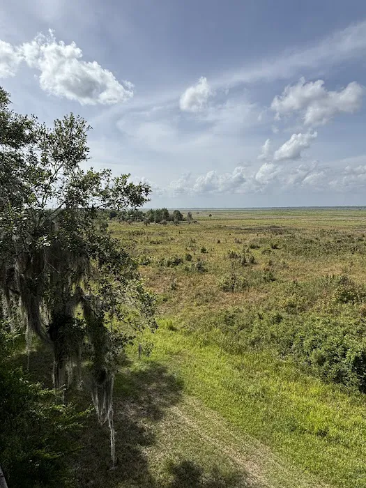 Paynes Prairie Camping Picture 8