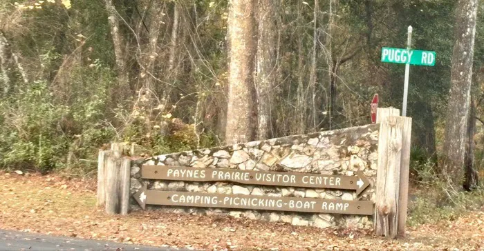 Paynes Prairie Camping Picture 3