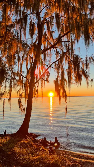 Lake George Barrs Hammock Campsite of St Johns River WMD Picture 1