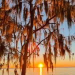 Lake George Barrs Hammock Campsite of St Johns River WMD