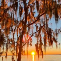 Lake George Barrs Hammock Campsite of St Johns River WMD ico