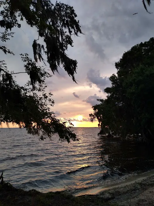 Lake George Barrs Hammock Campsite of St Johns River WMD Picture 4